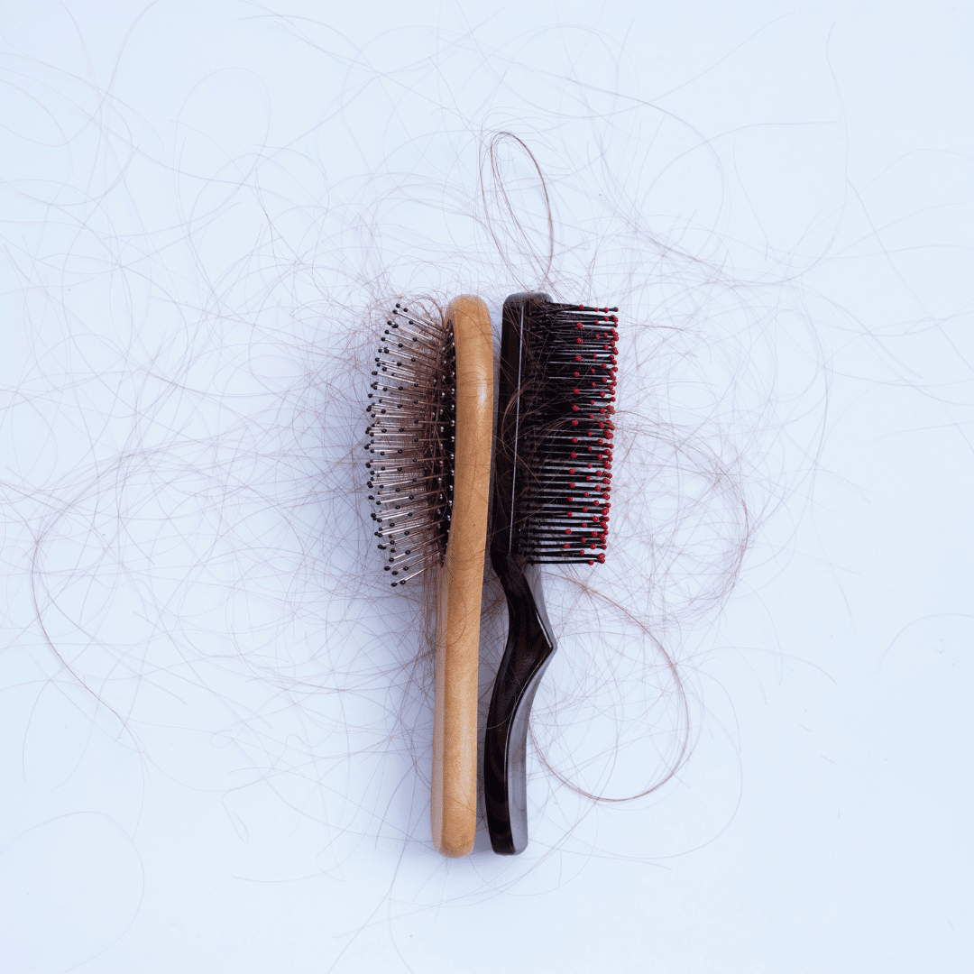 Hair brush image